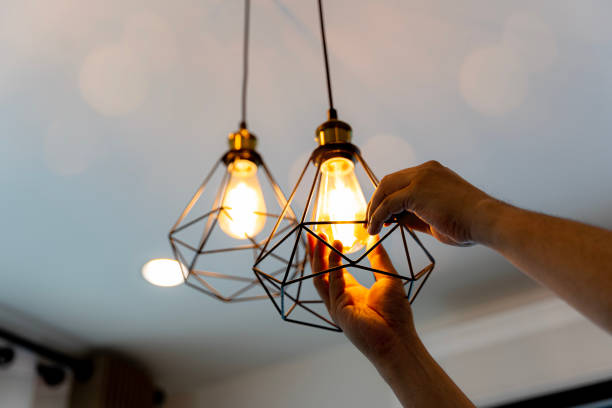 Best Licensed Electrician  in Newaygo, MI