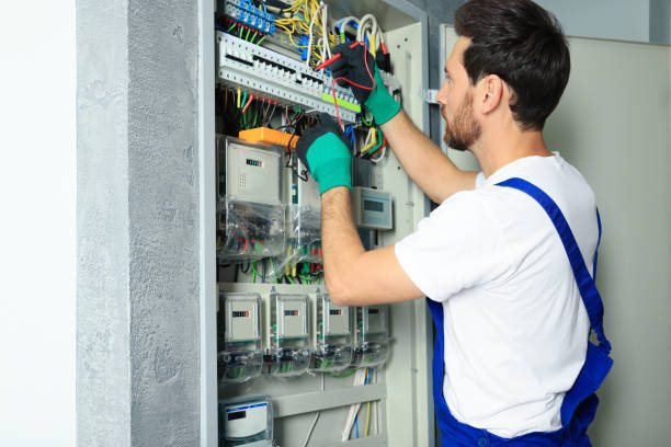 Best Home Electrical Repair  in Newaygo, MI