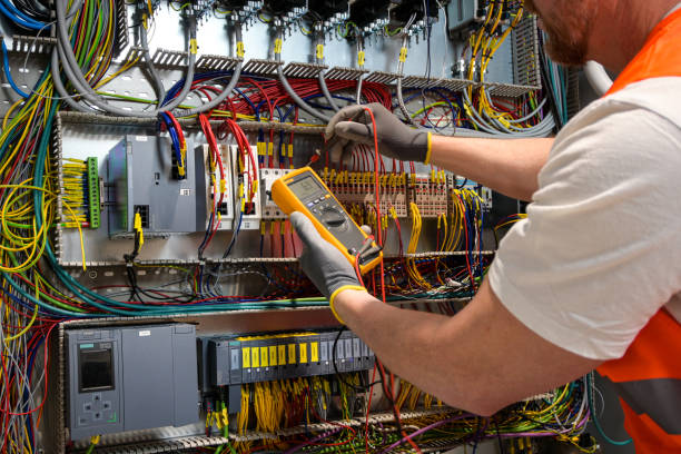 Best Affordable Emergency Electrician  in Newaygo, MI
