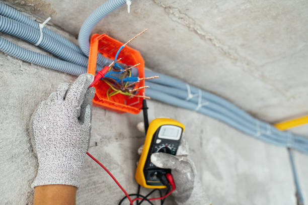 Best Affordable Electrical Installation  in Newaygo, MI