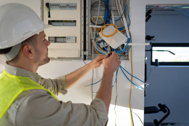 Best Affordable Electrician  in Newaygo, MI